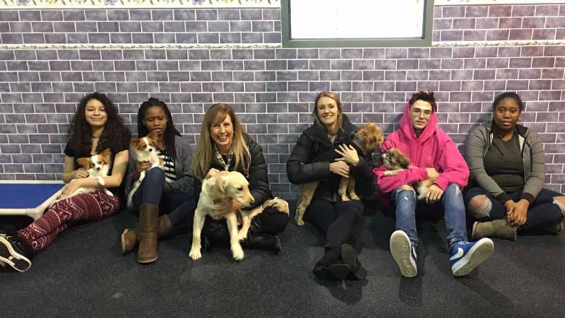 Students visit in Passaic County NJ Animal Hospital